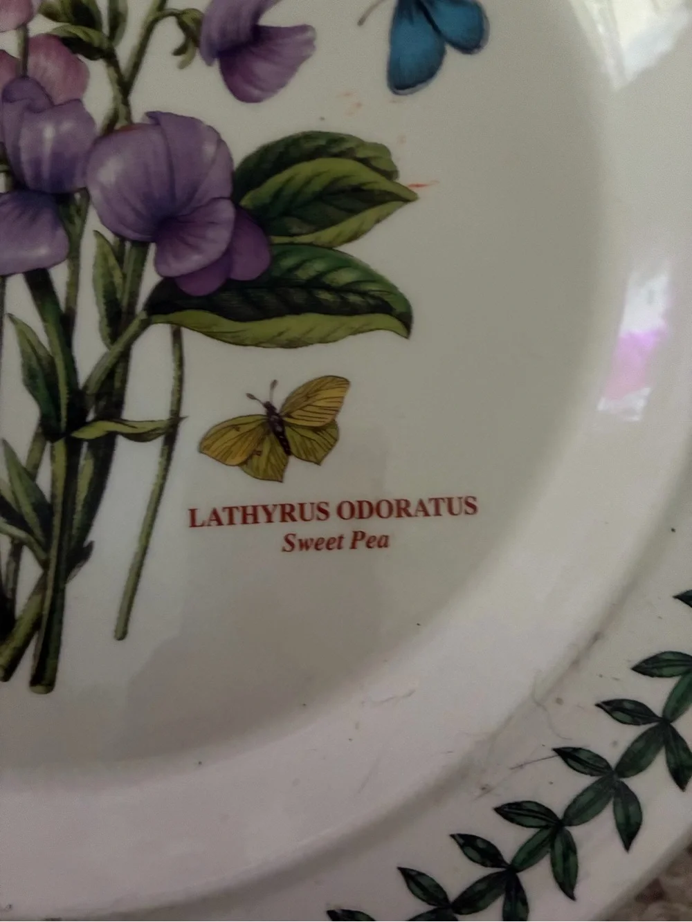Portmeirion Botanic Garden Sweet Pea Dinner Plate 10.5”